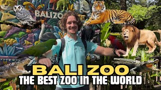 Experience the WILDEST Day in Bali Zoo