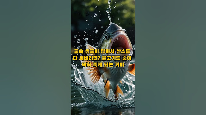 물속에 살아도 물고기에게 공기가 필요하다고?!