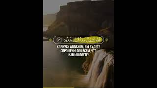 Ан-Нахль Muhammad Siddiq Al - Minshawi  |  محمد صديق المنشاوي