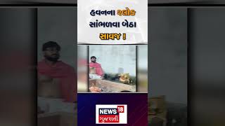 Junagadh Lion Video News | હવન શ્લોક સાંભળવા બેઠા સાવજ | Viral Video | Lion Video | N18S