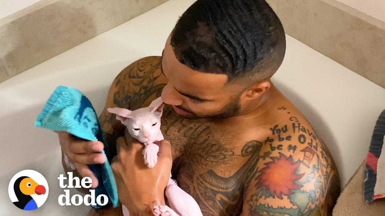  Guy Takes Baths With His Hairless Kitten | The Dodo Soulmates