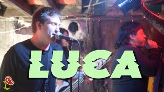 Luca Live at Empty Bliss, Chicago, Illinois, 3-10-2024