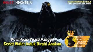 Download Sp. Sedot Walet Induk Birahi Anakan, Suara Panggil walet resfon
