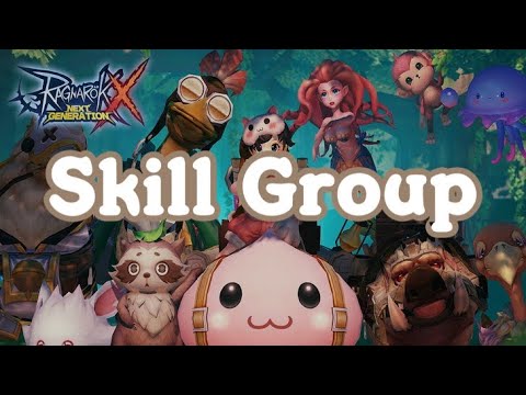 Skill Group / Skill กำหนดเอง | Ragnarok X Next Generation (ROX)