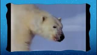 POLAIR'ZEN - (composition sur tyros 4)