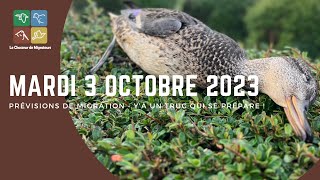 Prévisions de migration du 3 octobre 2023 - y’a un truc qui se prépare.