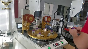 Automatic Index Table Ultrasonic Welding Machine for ABS Plastic Toys Grapes