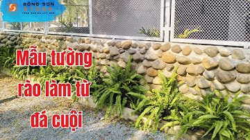 Mẫu tường rào làm từ đá cuội - Xu hướng sân vườn 2025