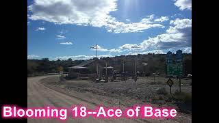 Blooming 18  Ace of Base