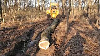 Deere 450E dozer logging.