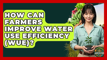 How Can Farmers Improve Water Use Efficiency (WUE)? - The World of Agriculture