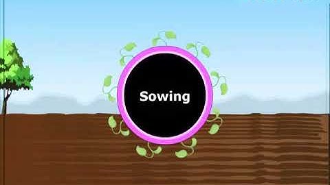 NCERT Class 8 Science| Chapter -1 Crop Production and Management | Part-5 Sowing