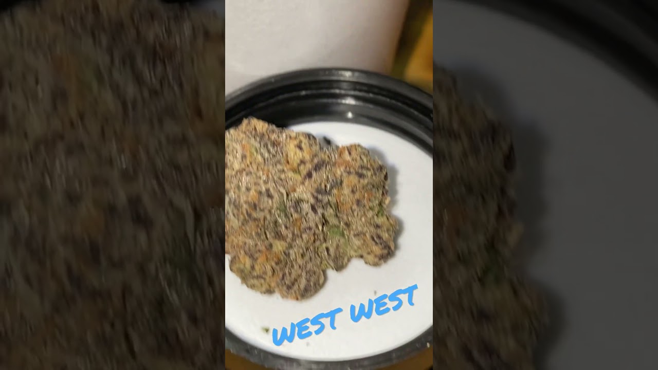 RASPBERRY RUNTZ 🔥🔥🌴🌴💨💨