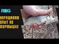 МЕЛКАЯ РЫБА НА МОРМЫШКУ. ПРОДОЛЖАЮ НАРАЩИВАТЬ ОПЫТ В МОРМЫШИНГЕ.