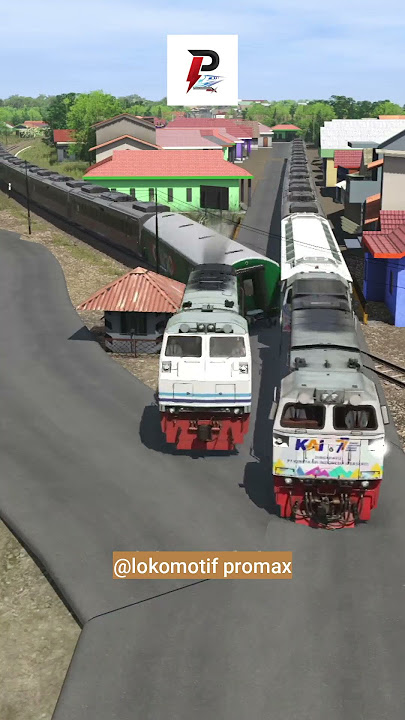 Kereta Api Panjang PLH Palang Pintu Perlintasan Kereta Api #train #automobile #indianrailways