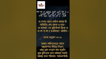 সূরা আল-আহযাব | Al-Ahzab | سورة الأحزاب - আয়াতঃ ২৫ (২১ বার পঠিত).