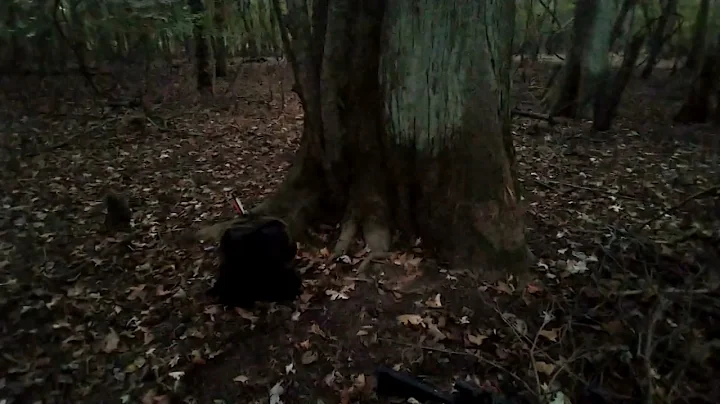 😭Slow start to 2021-2022 deer season on Cache River Refuge