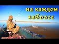 Летняя рыбалка с лодки.Поклевки на каждом забросе.