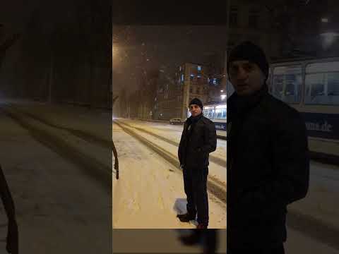 snowy night 🌃