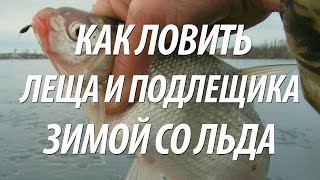 ПОДЛЕДНАЯ ЗИМНЯЯ РЫБАЛКА НА ЛЕЩА В ДЕКАБРЕ НА ИВАНЬКОВСКОМ ВОДОХРАНИЛИЩЕ(Отличная зимняя подледная рыбалка в декабре на леща и подлещика. Чем прикормить и привлечь рыбу, уникальная..., 2016-12-05T06:00:04.000Z)