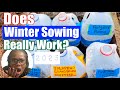 DOES WINTER SOWING WORK? | Start your SPRING 2025 garden NOW in January #wintersowing #garden