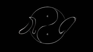 John Object Live For Salon Oblique