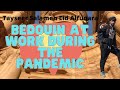 Bedouin at work during the PANDEMIC (English version)