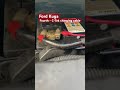 Ford Kuga Project: Fitting a CTEK Charging Cable