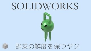 【SolidWorksの使い方】3DCADで野菜の鮮度を保つヤツを作ってみた 4K