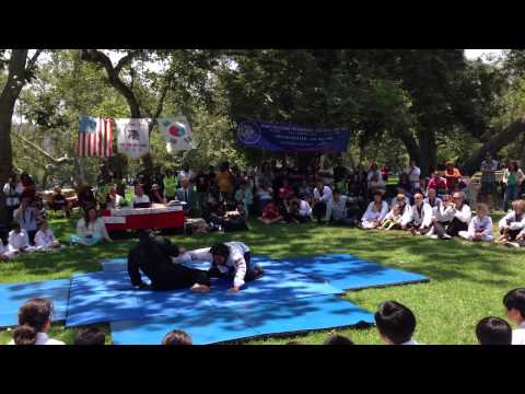 Grand Master Jae Ho Park with Hapkido demo at Verd...