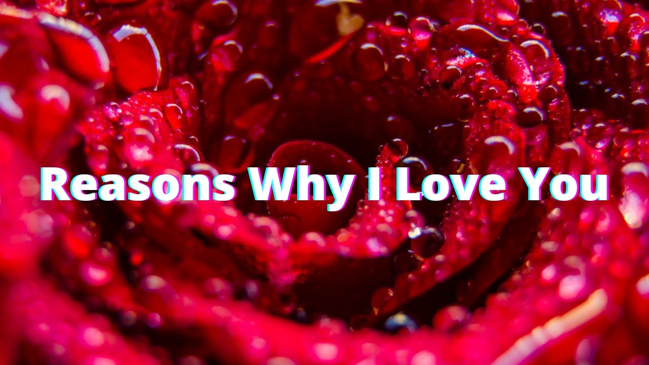 Reasons Why I Love You  Quotes For Someone Special