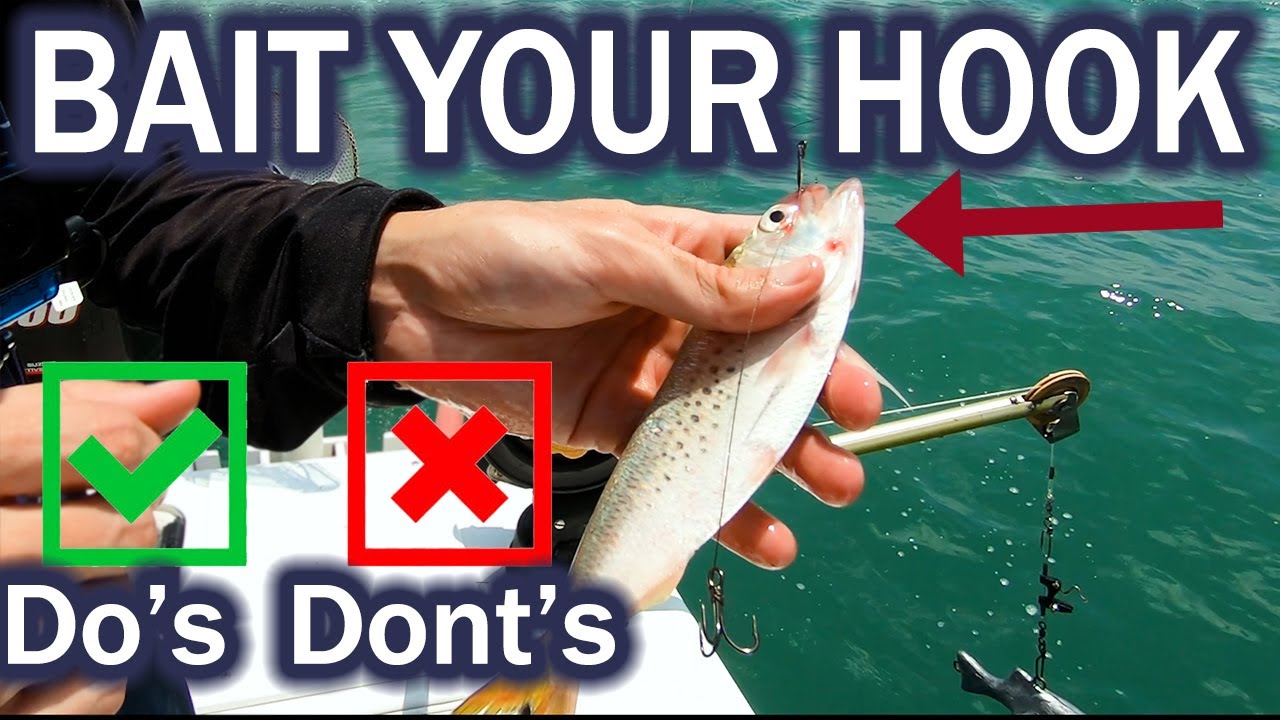 How to Bait Your Hook with Live Bait 