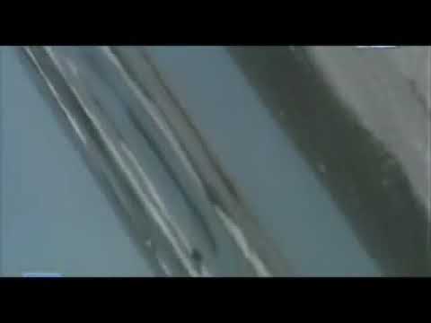 وداع كل الى بينا وداع حالات واتس حزينة