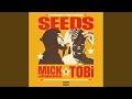 Miniature de la vidéo de la chanson Forgot We Were Seeds