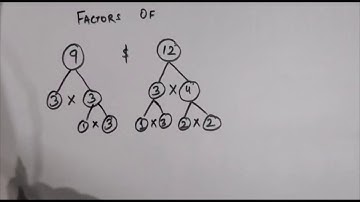Tiling Problem l Part 2 l Class 5