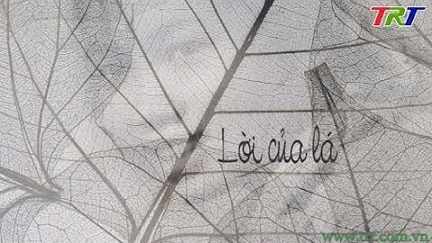 Góc Huế trong tôi (Số 80): Lời của lá