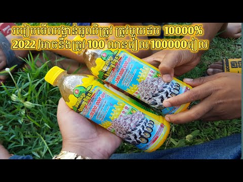 របៀបមើលរង្វាន់អូឈិត្រូវ ត្រូវមួយដប  10000% 2022 /អាចនឹងត្រូវ 100 លានរៀល 100000រៀល