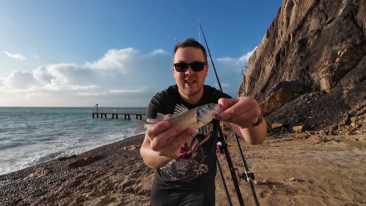 Угри, быки и окунь – West Wight Danglers, раунд 14 | Alum Bay – Match Fishing