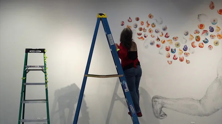 Rosemary Meza-DesPlas Installation