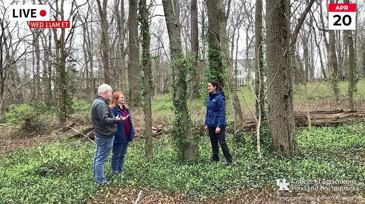Scouting for Invasive Species -  From The Woods To...