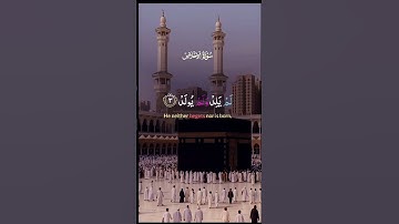 #قرآن #سورة_الإخلاص #المصحف #قران_كريم