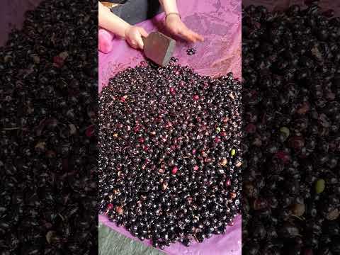 طريفة تقليدية ألبنات   اكسبلور  اهميه   الجيلي