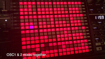 Arturia Matrixbrute sequencing in paraphonic mode