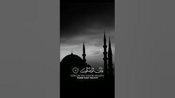 سورة فاطر {الآية 3} بصوت الشيخ ماهر المعيقلي ❤️💖