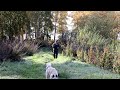 Что такое охота? / What is #hunting ?
