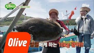 island trio2 강호동도 쩔쩔! 초대형 10kg 광어 등장!! 180716 EP.4