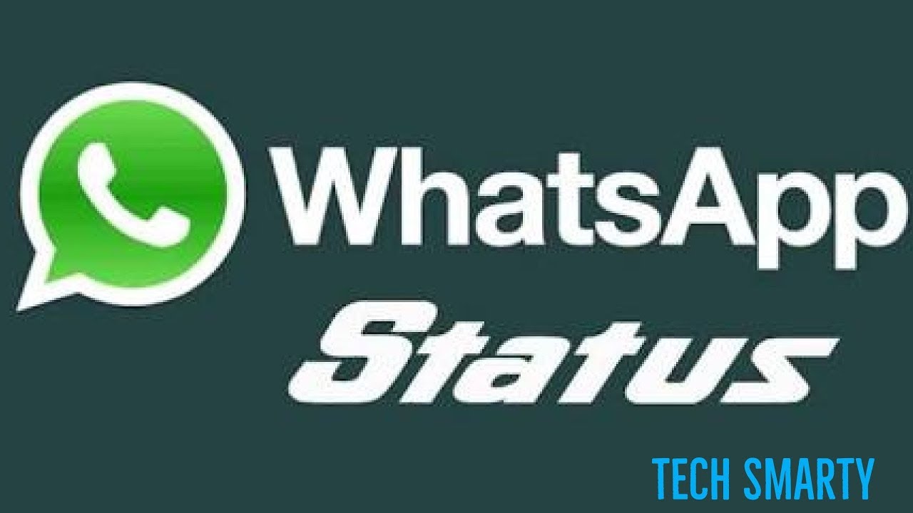 Статус контакта whatsapp