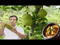 Echorer dalna recipe  echor recipe  kathaler torkari      jackfruit curry recipe