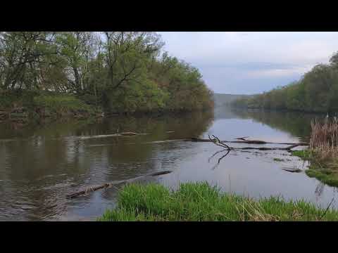 Река Красивая Меча под Конь-Камнем Тульская область