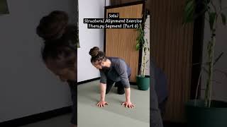 Part 6 of 6 of Sotai Structural Alignment Exercise - Kneeling & Crawling #selfcare #wellnesstips